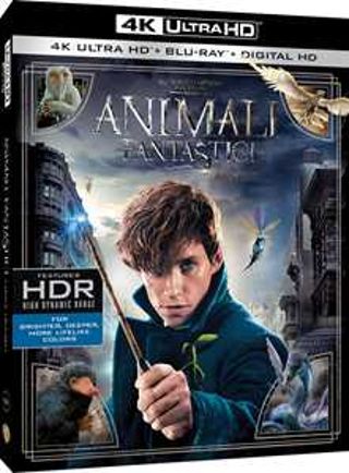 Animali fantastici e dove trovarli (4K Ultra HD + Blu-Ray Disc)