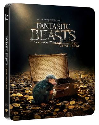 Animali fantastici e dove trovarli (Blu-Ray Disc - SteelBook)