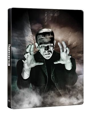 Frankenstein (1931) - 90TH Anniversary (4K Ultra HD + Blu-Ray Disc - SteelBook)