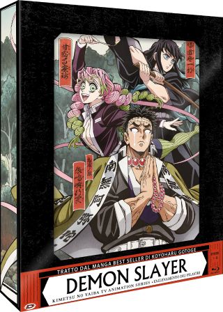Demon Slayer - Limited Edition - Box 6 - L'Allenamento Dei Pilastri (Eps.01-08) (2 Blu-Ray Disc)