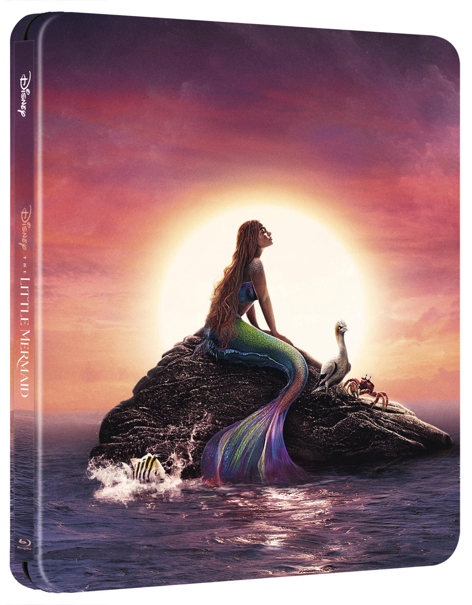 La sirenetta (4K Ultra HD + Blu-Ray Disc - SteelBook)