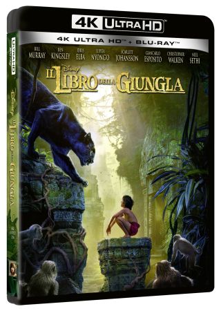 Il libro della giungla (2016) (4K Ultra HD + Blu-Ray Disc)