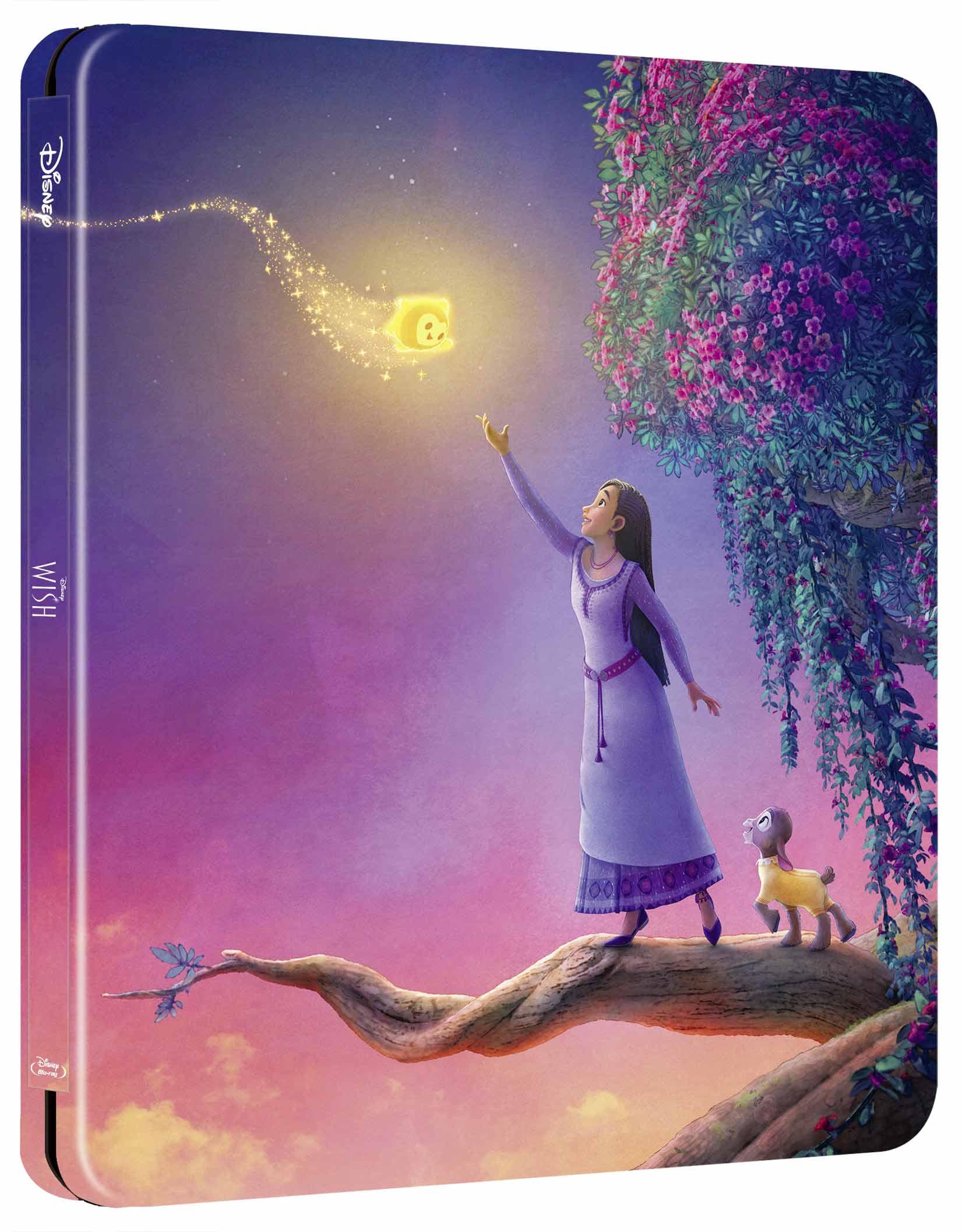 Wish (Blu-Ray Disc - SteelBook)